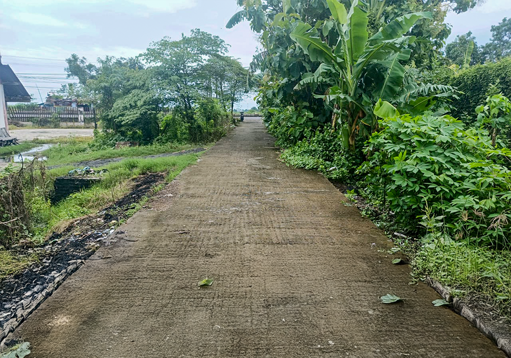 TANAH DI KAB. JOMBANG - NPL437-3 - foto 3